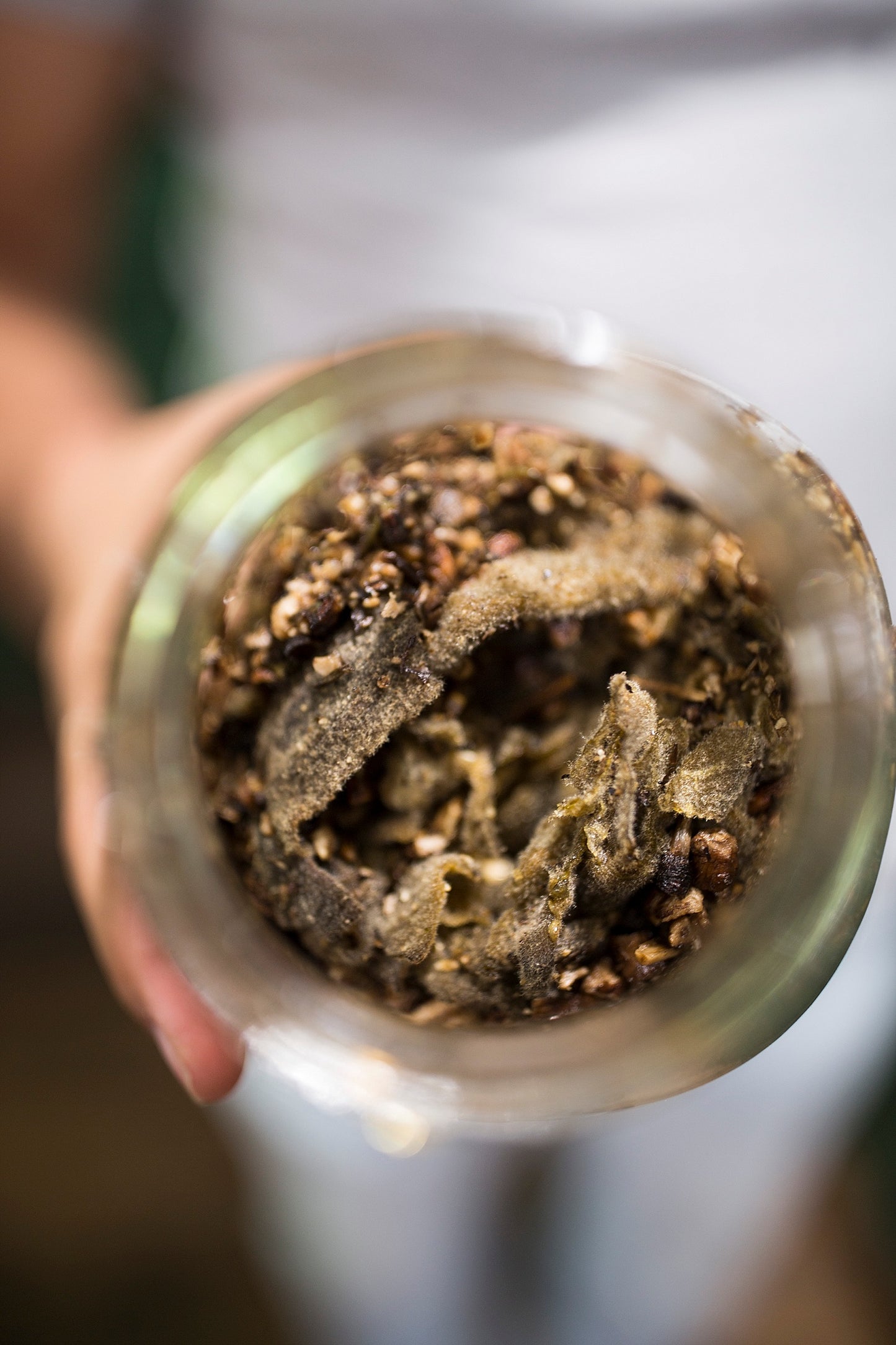 Mullein Tincture with Dandelion - 1 oz Bottle