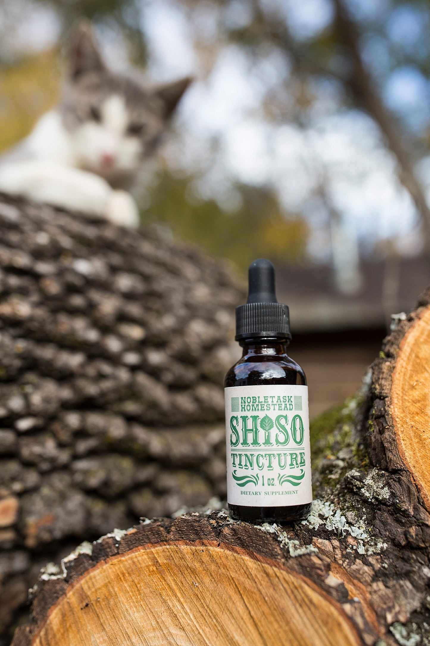 Shiso Tincture - 1 oz Bottle