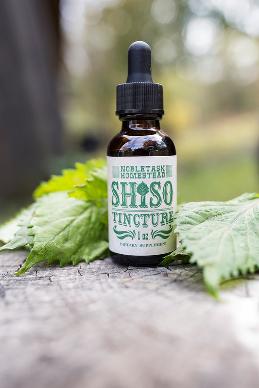 Shiso Tincture - 1 oz Bottle