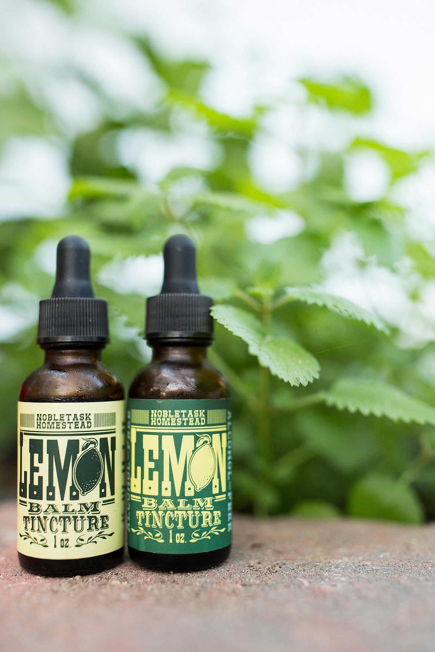 Lemon Balm Tincture 1 oz bottle