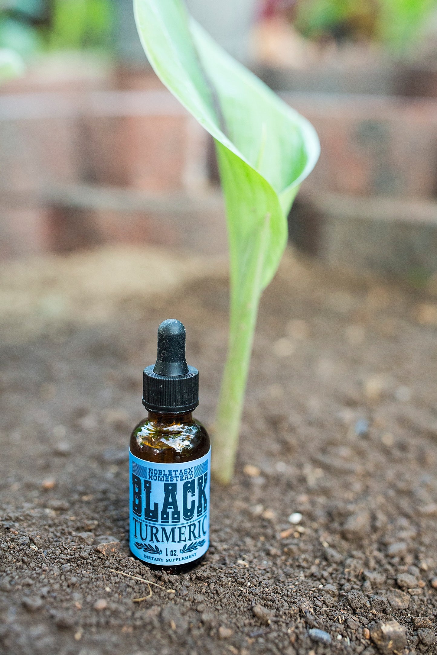 Black Turmeric - 1 oz btl