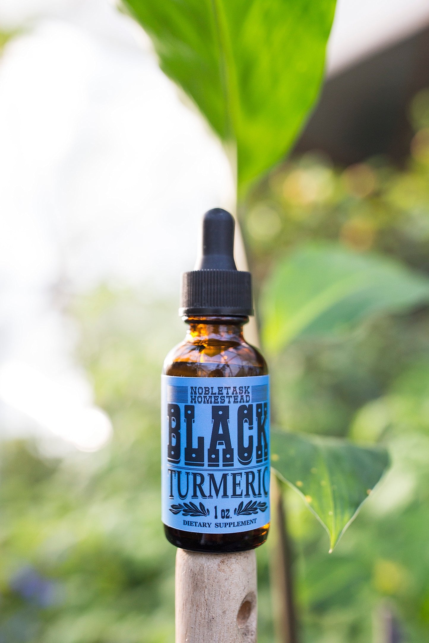 Black Turmeric - 1 oz btl