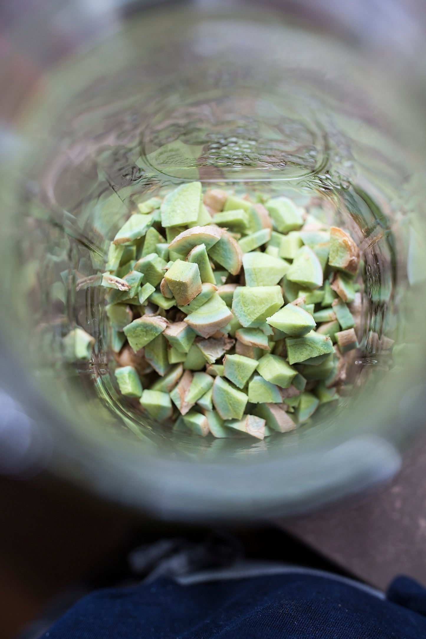 Black Turmeric & Soursop Tincture - 1 oz Btl