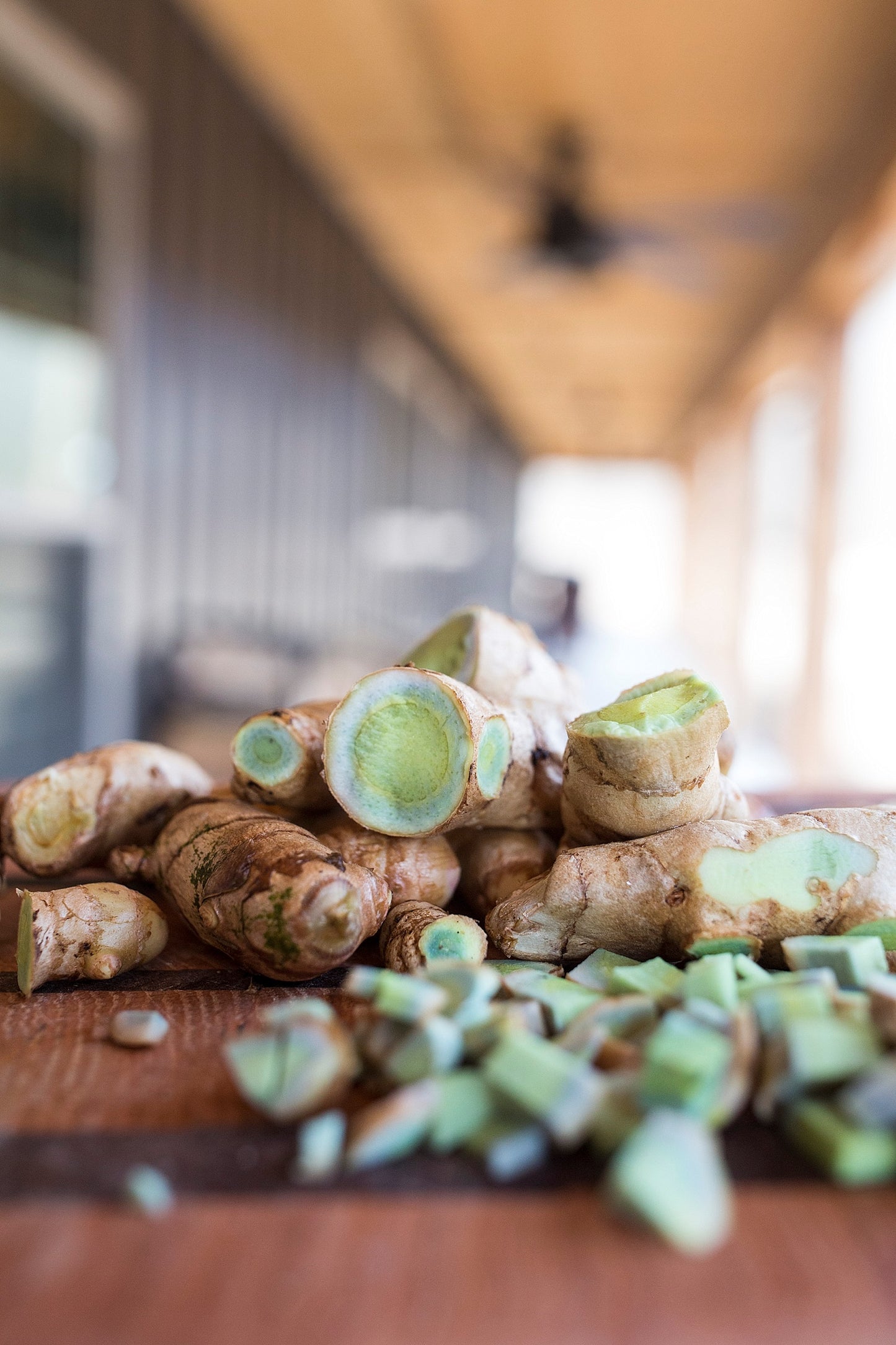 Black Turmeric & Soursop Tincture - 1 oz Btl