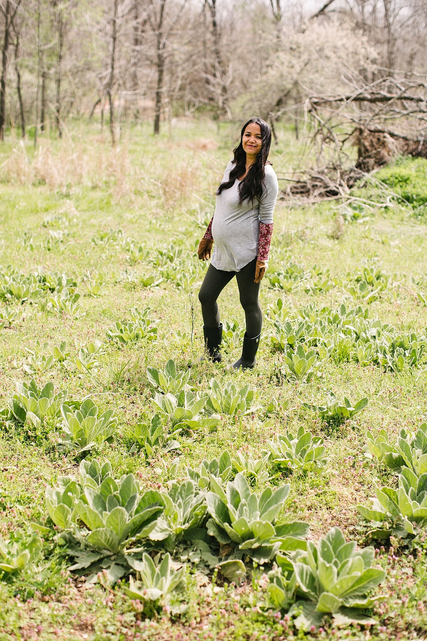 Mullein Tincture 1 oz bottle
