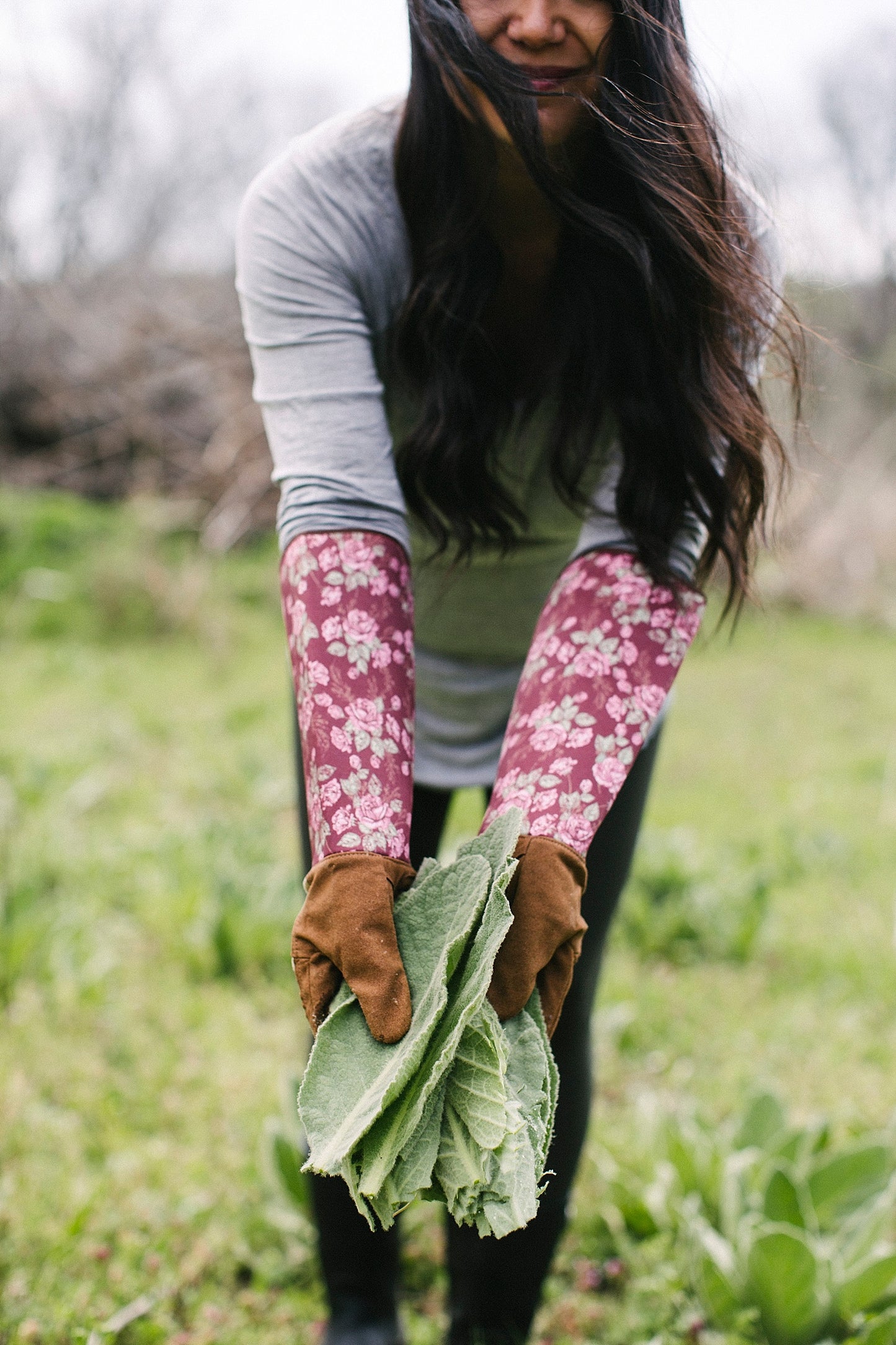 Mullein Tincture 1 oz bottle