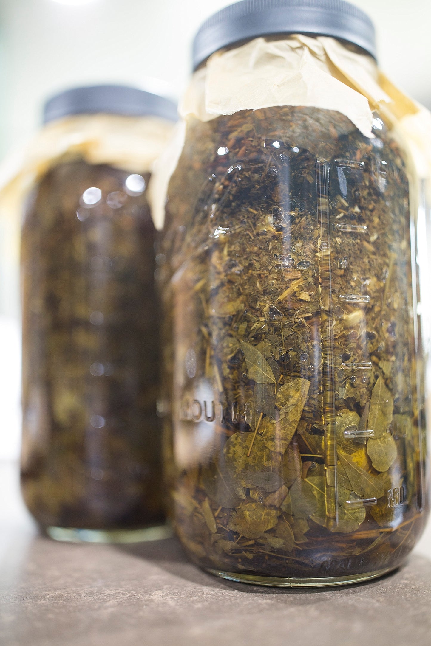 MotherLoad Tincture - 1 oz bottle