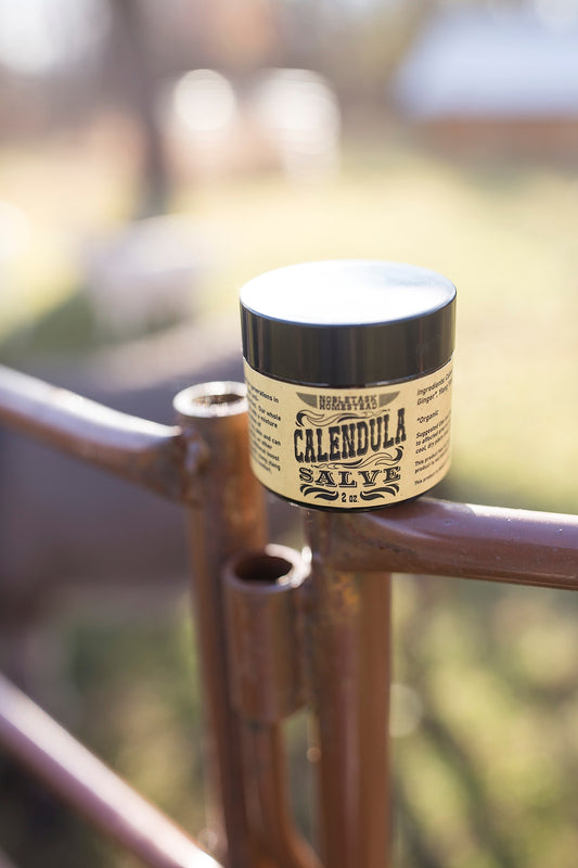 Calendula Salve