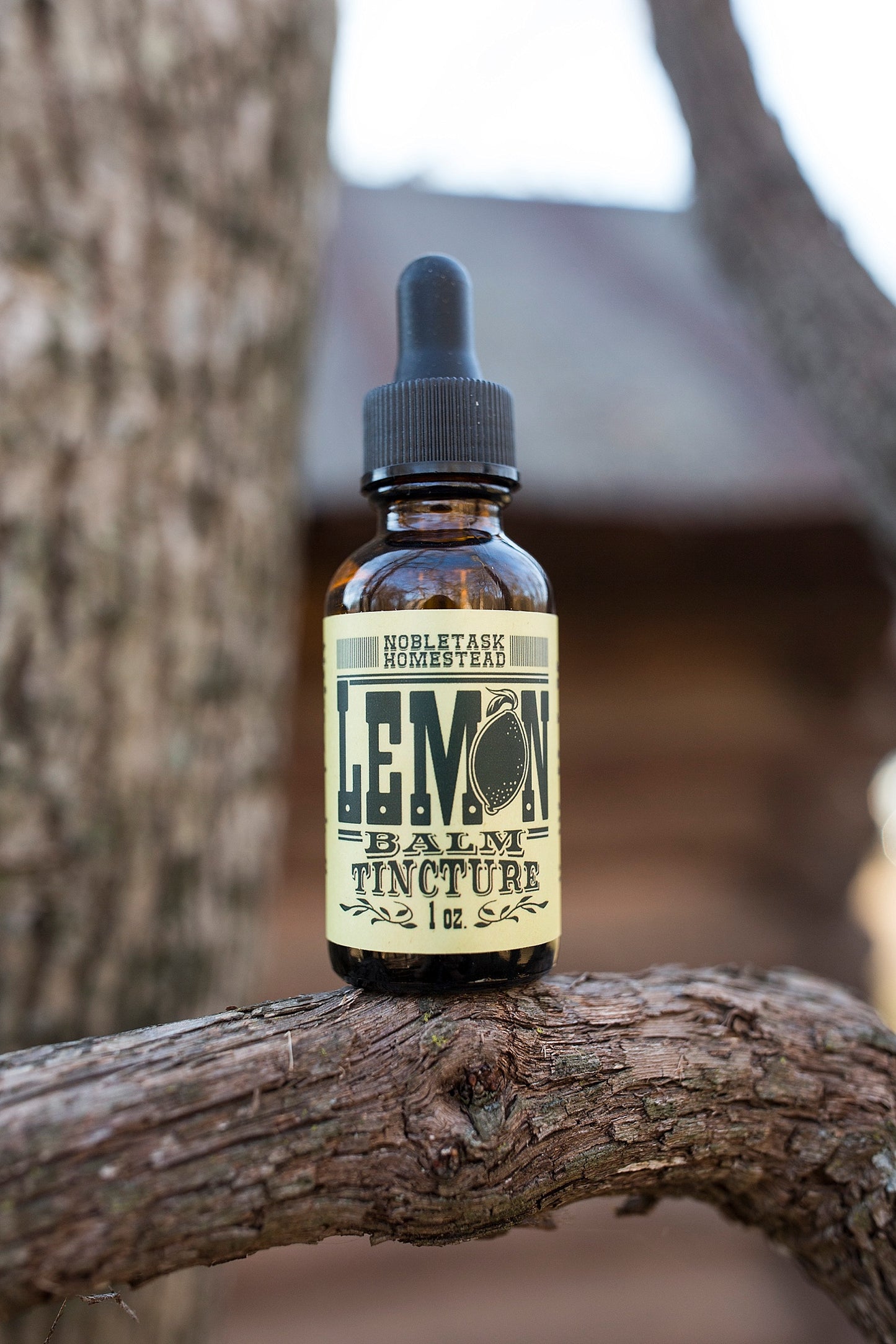 Lemon Balm Tincture 1 oz bottle