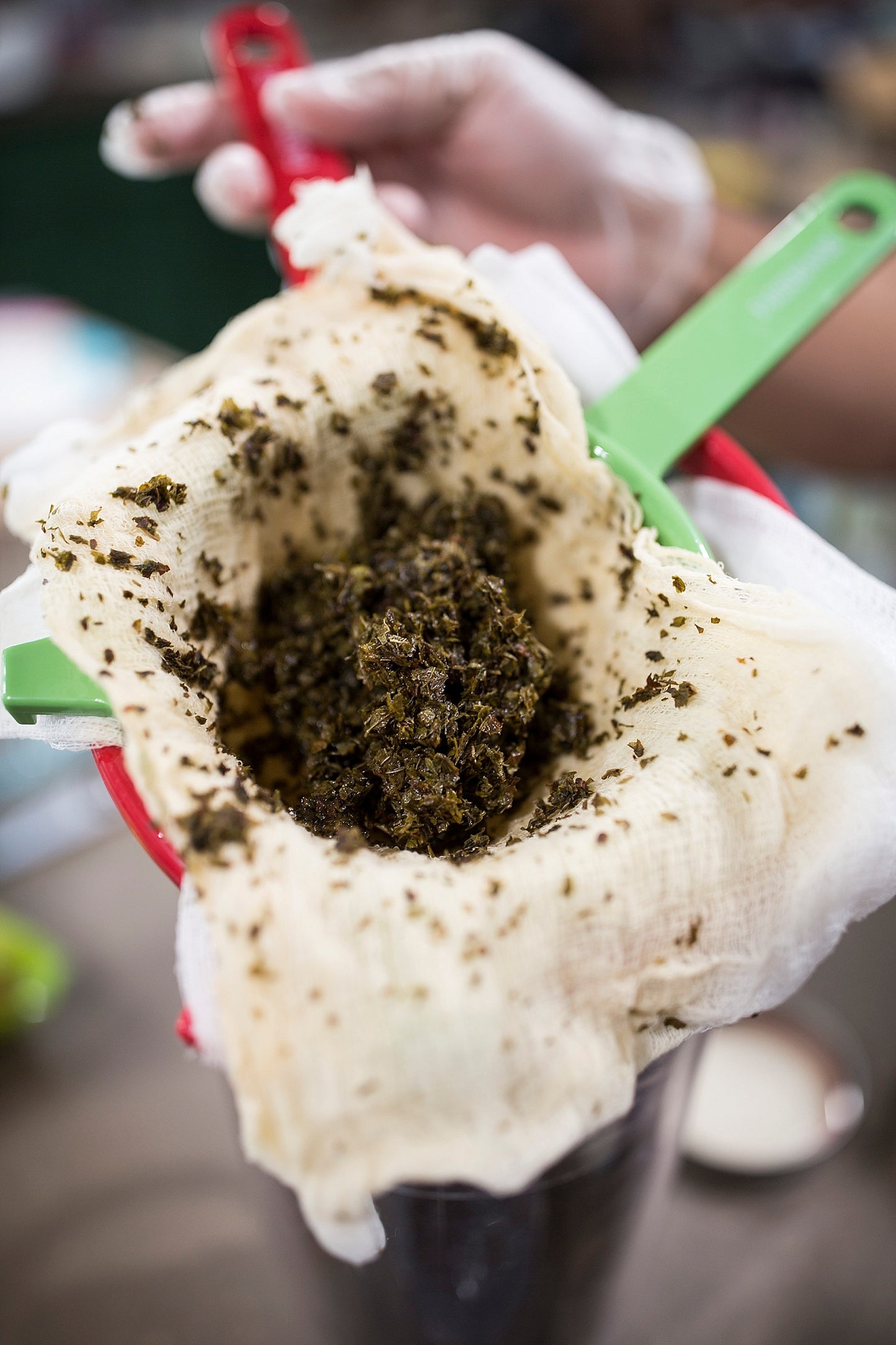 Lemon Balm Tincture 1 oz bottle