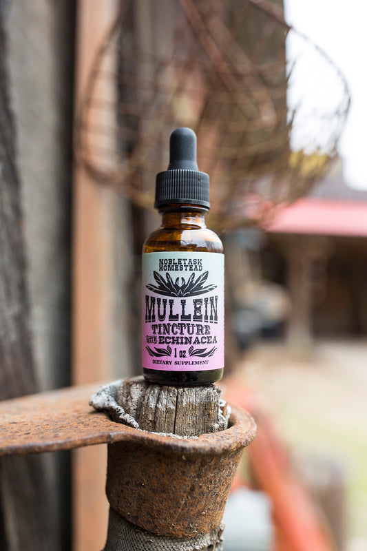 Mullein Tincture With Echinacea - 1 oz btl