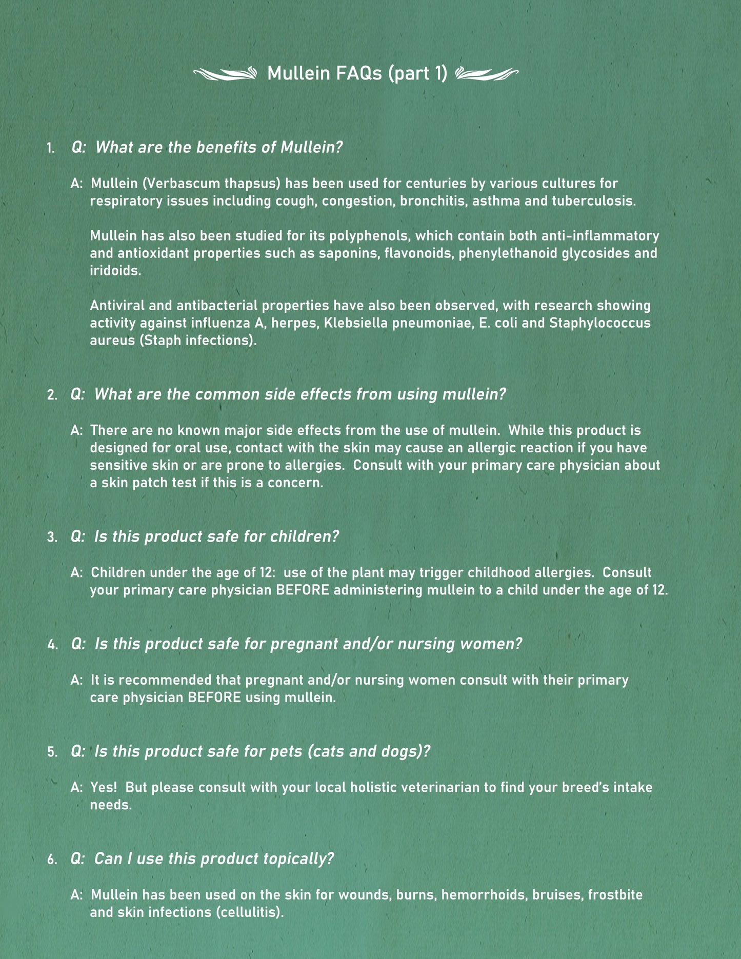 Mullein Tincture 1 oz bottle