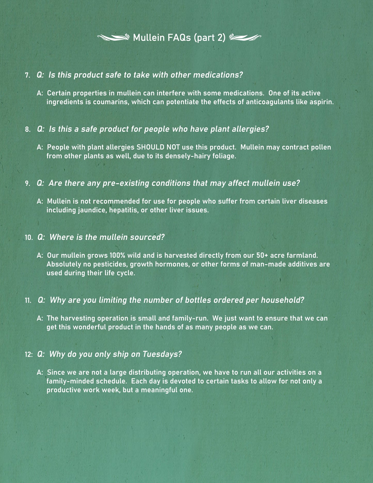 Mullein Tincture 1 oz bottle