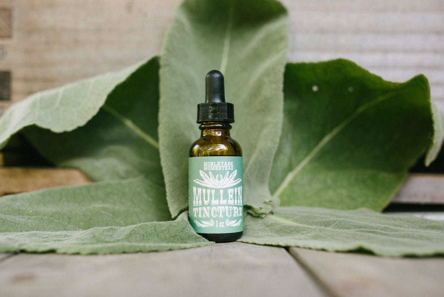 Mullein Tincture 1 oz bottle
