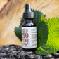 Shiso Tincture - 1 oz Bottle