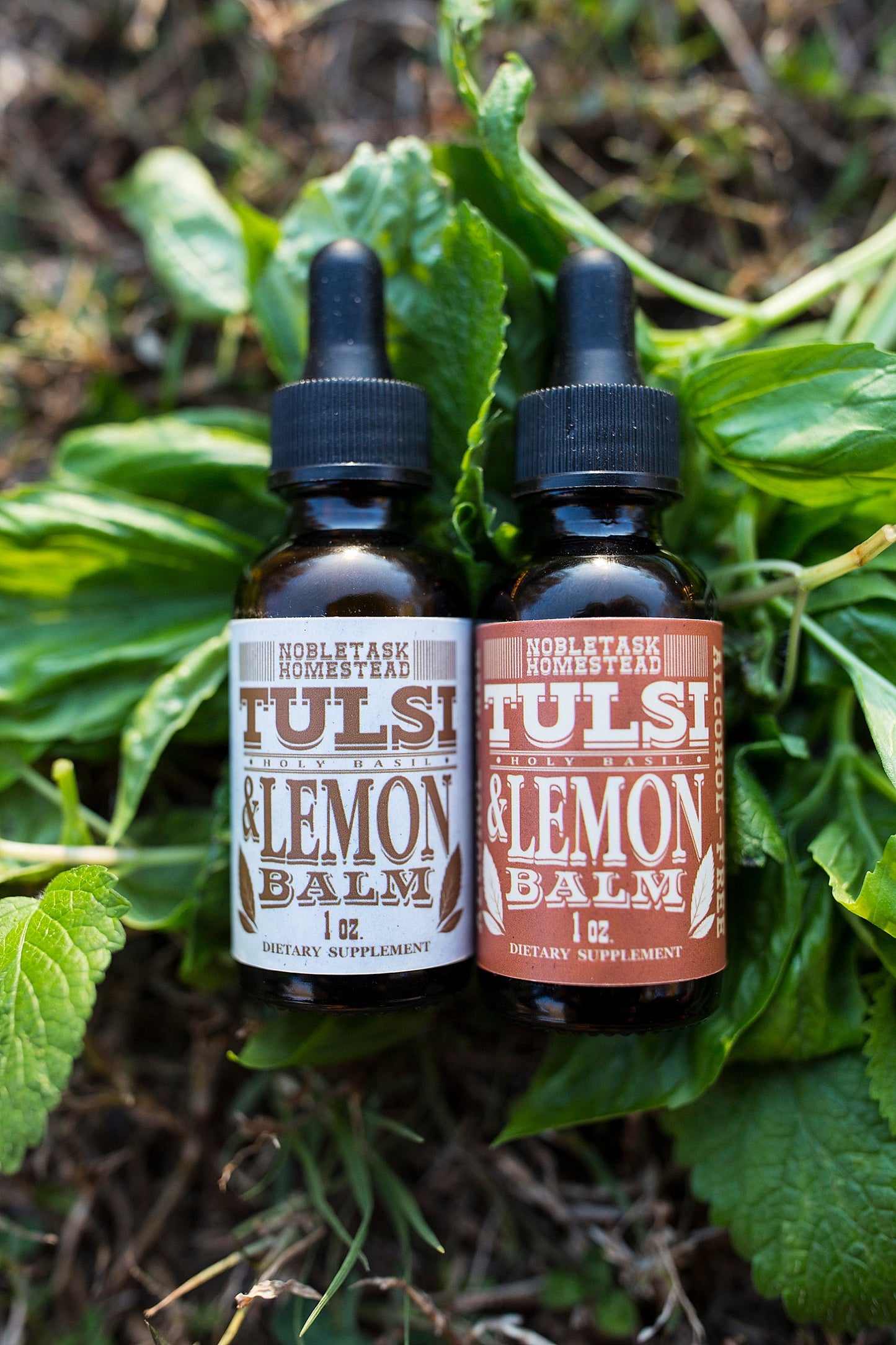 Tulsi (Holy Basil) Lemon Balm Tincture