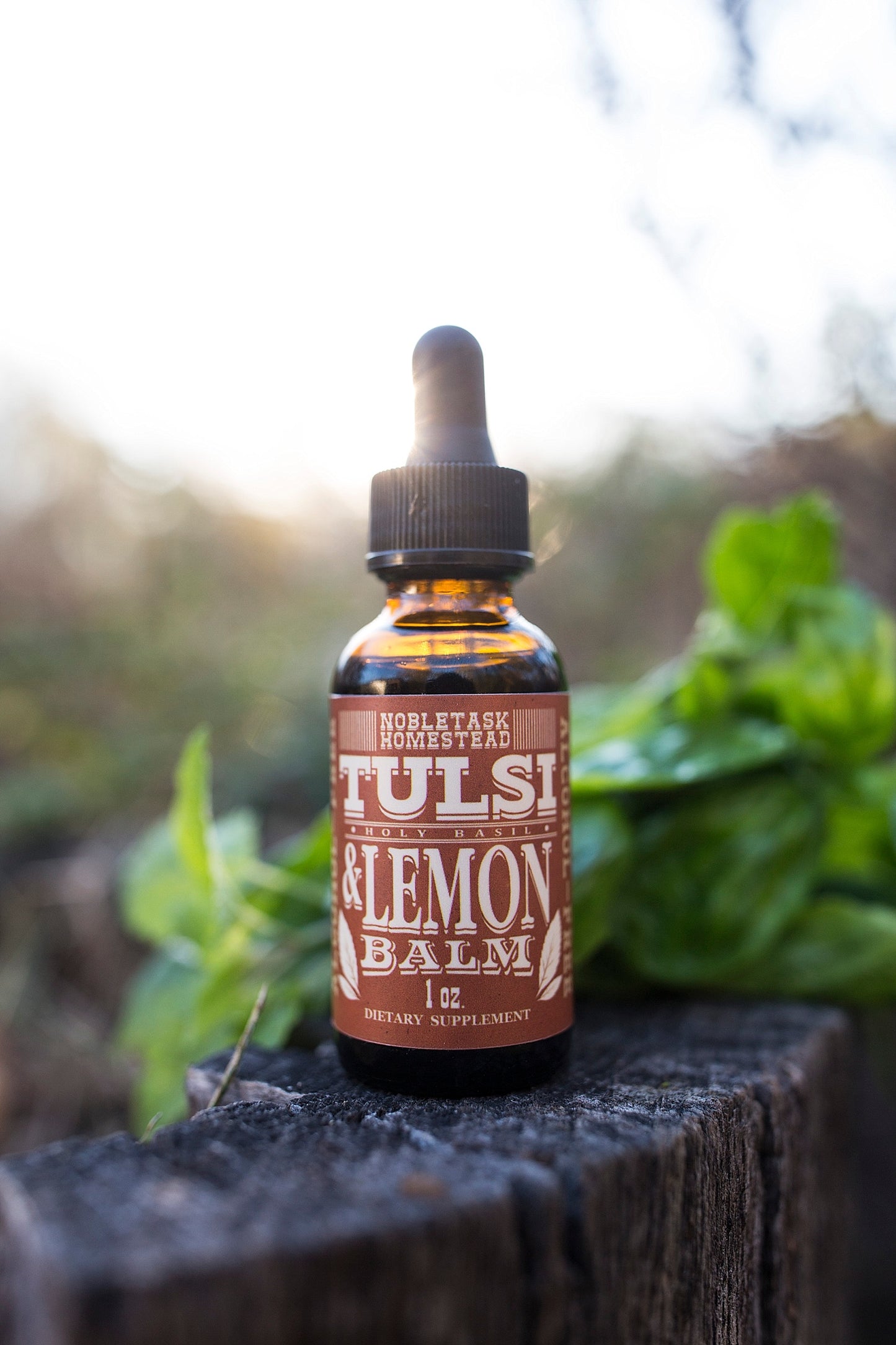 Tulsi (Holy Basil) Lemon Balm Tincture