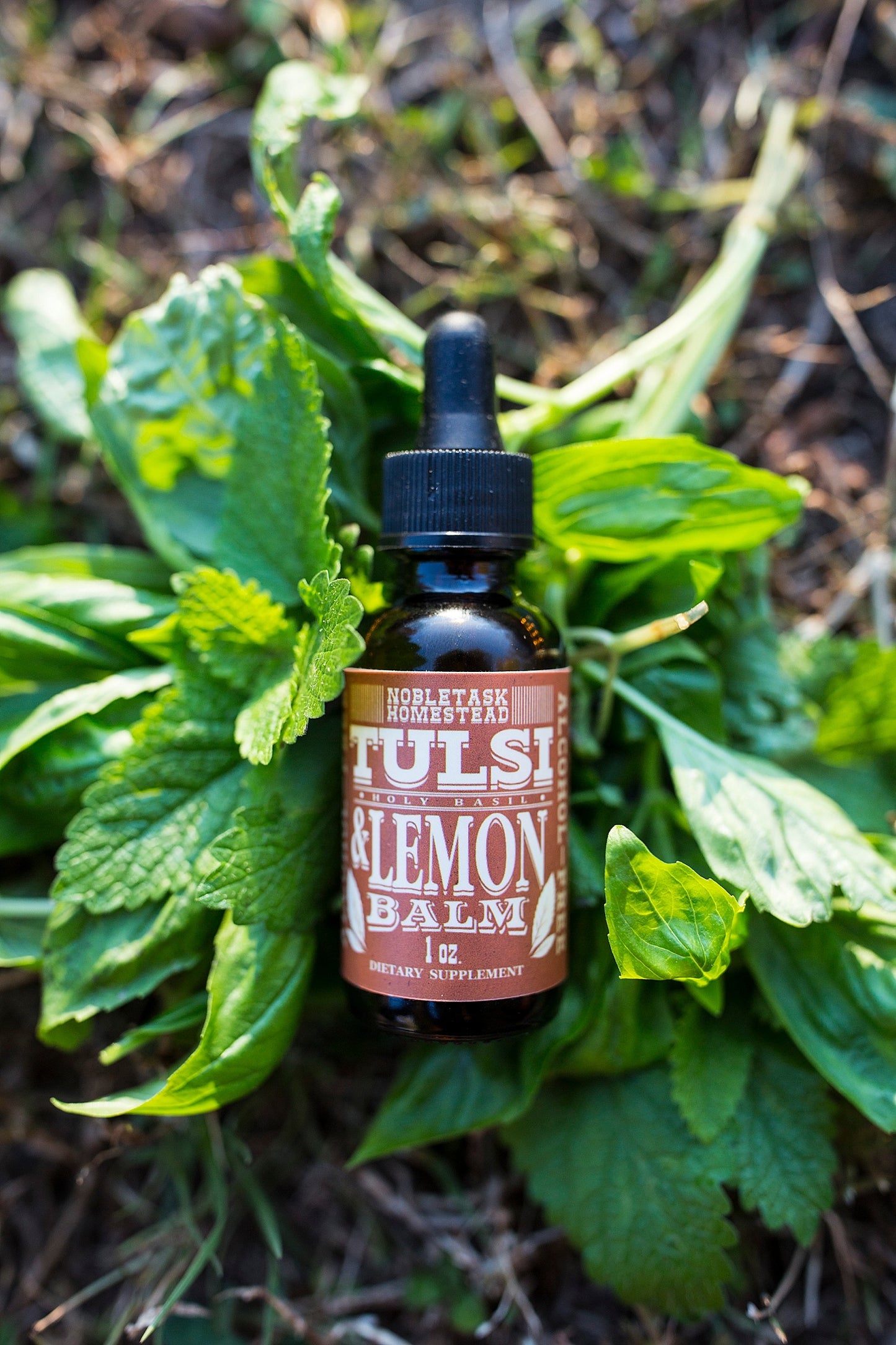 Tulsi (Holy Basil) Lemon Balm Tincture