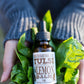 Tulsi (Holy Basil) Lemon Balm Tincture