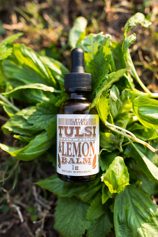 Tulsi (Holy Basil) Lemon Balm Tincture