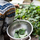 Firma-Mint Tea