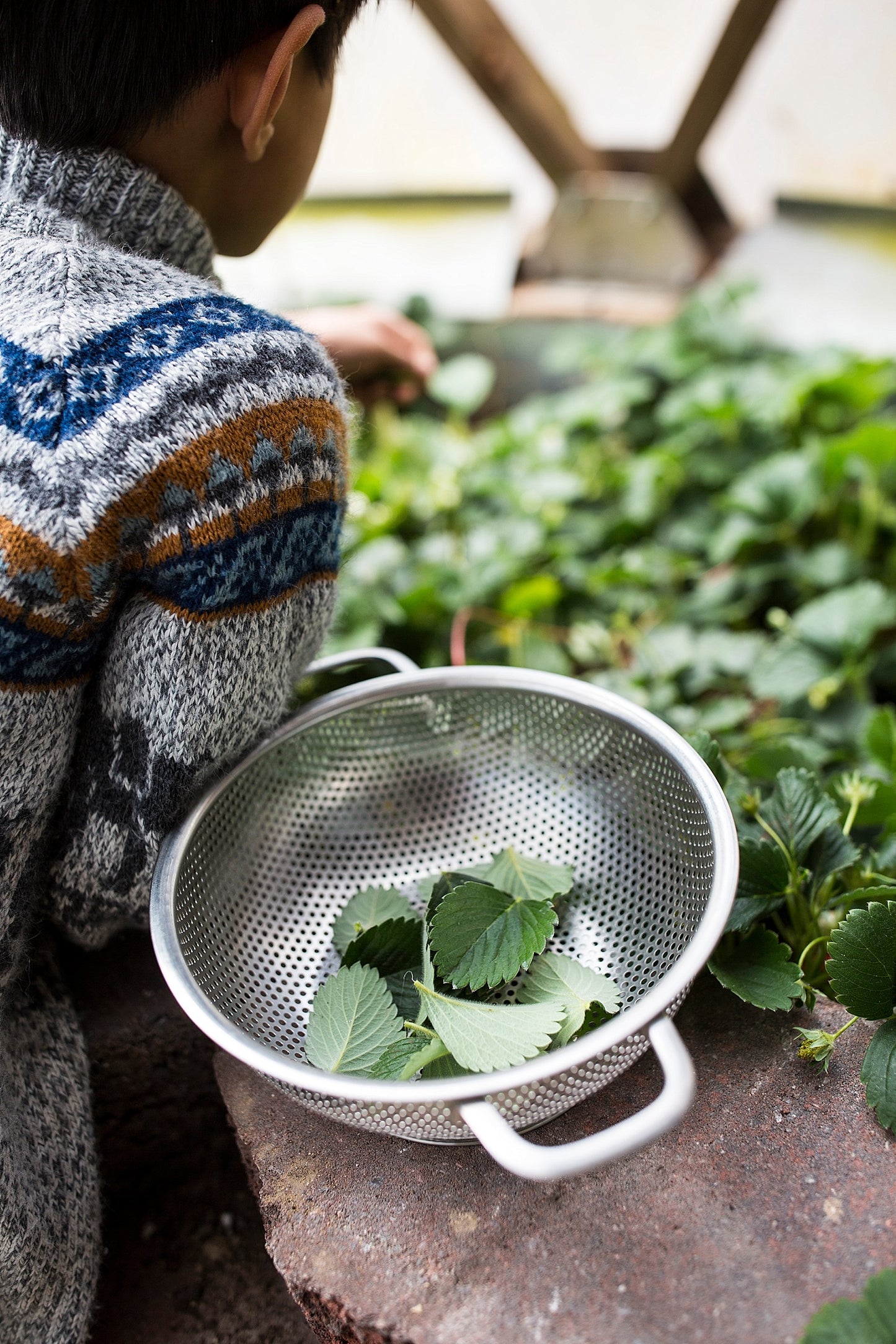 Firma-Mint Tea