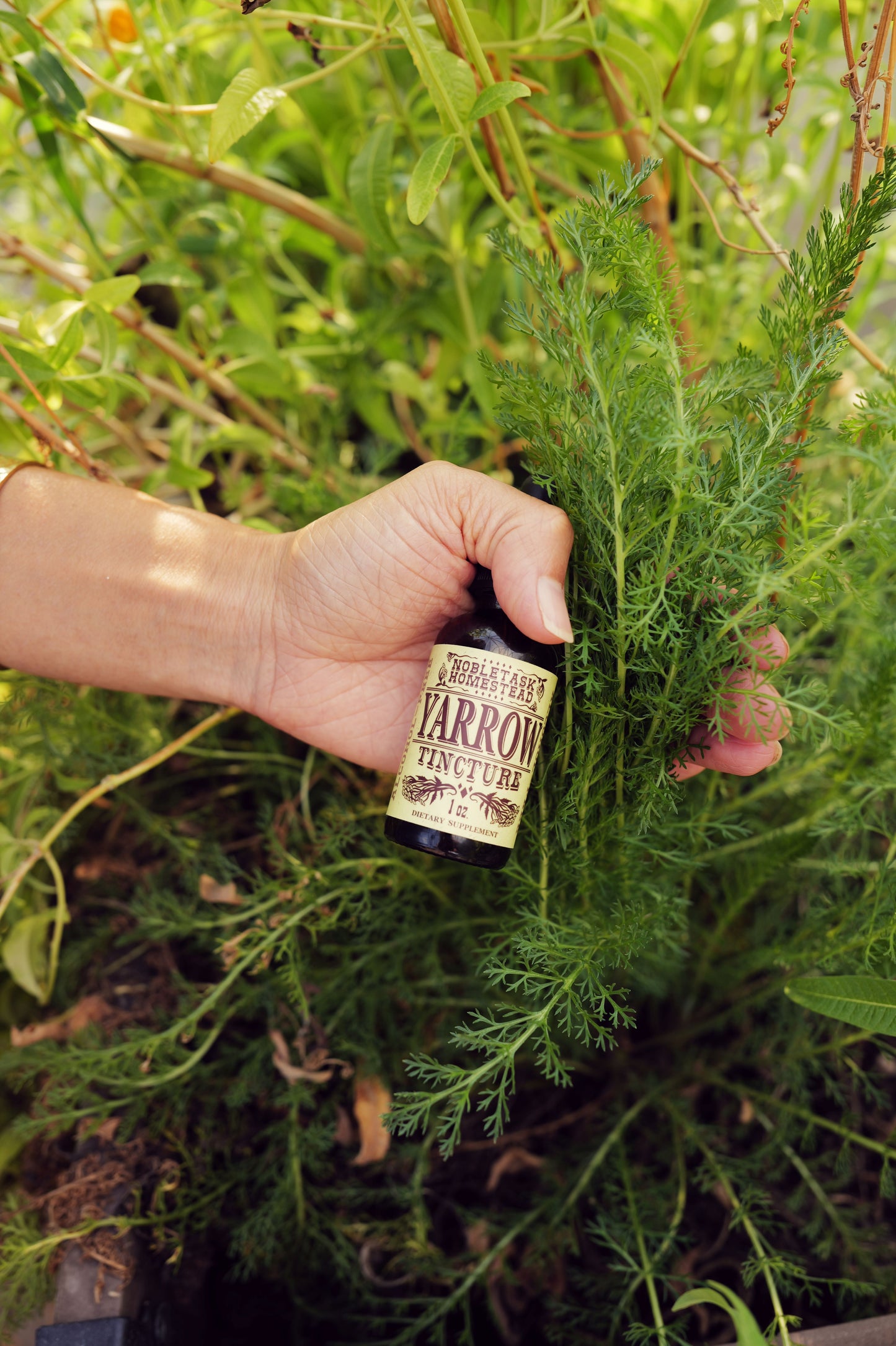 Yarrow Blend (Alcohol Free)
