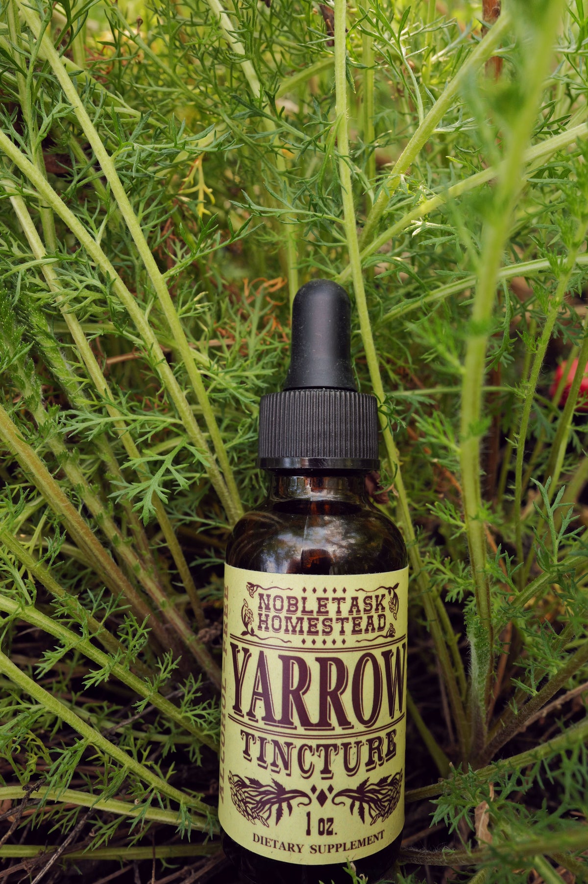 Yarrow Blend (Alcohol Free)