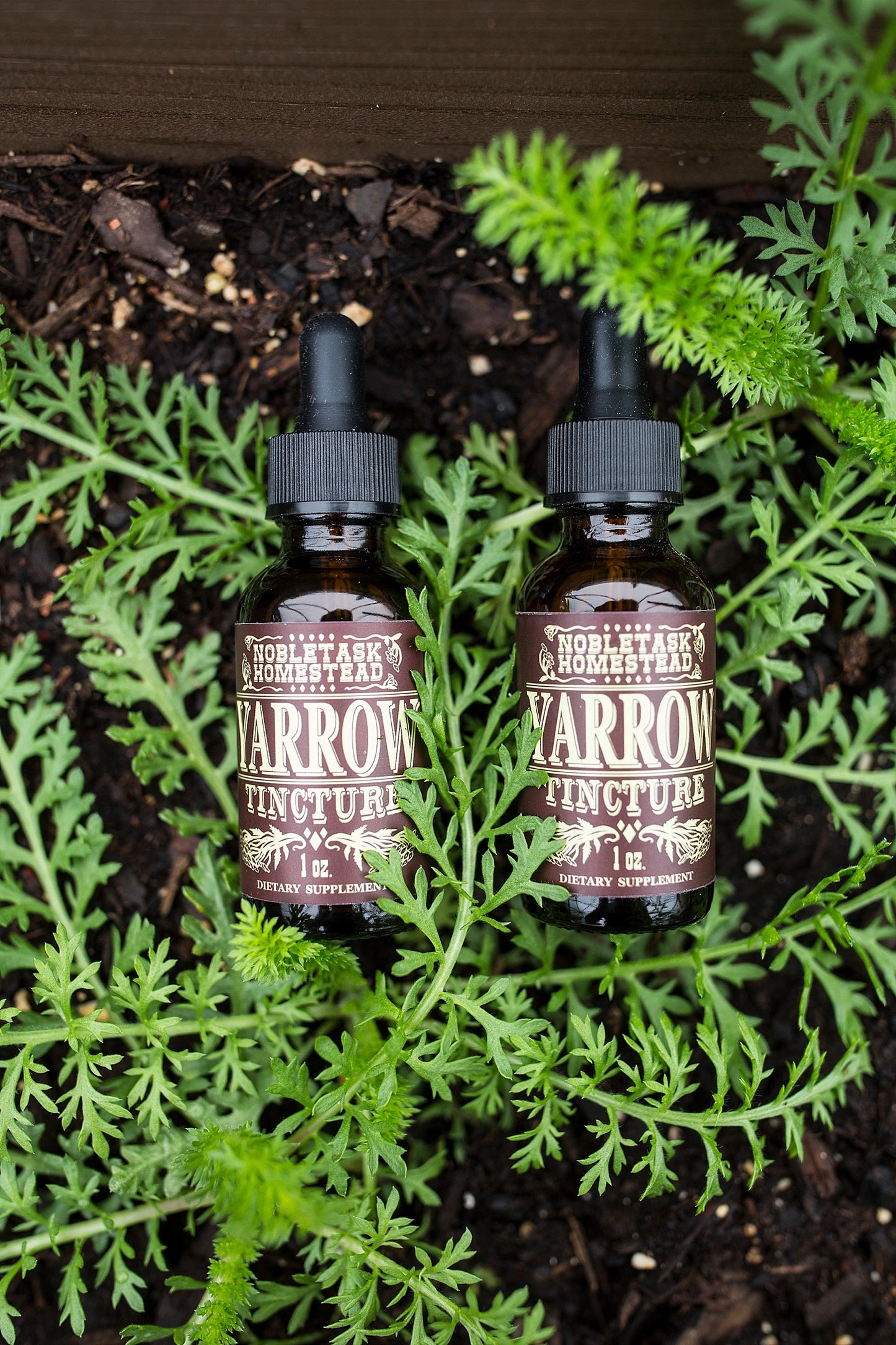 Yarrow - 1 oz bottle